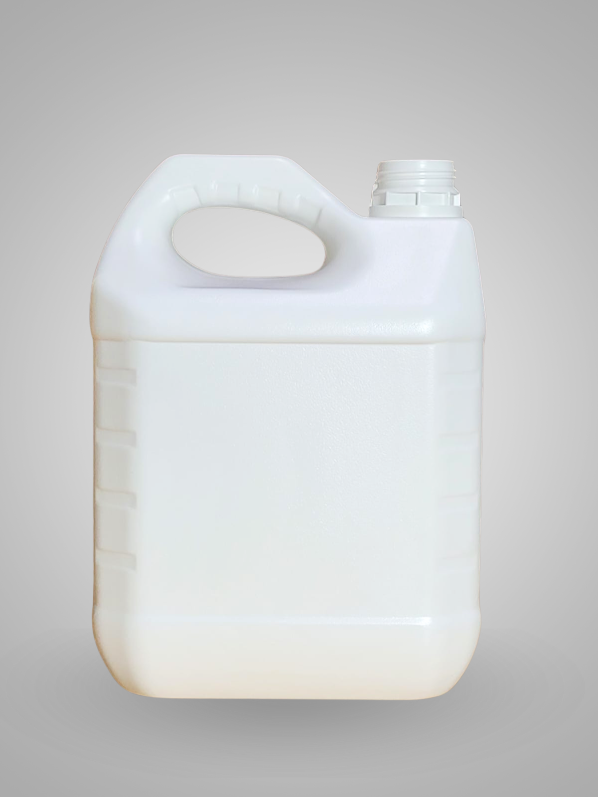 Galonera 4 L · 300 g
